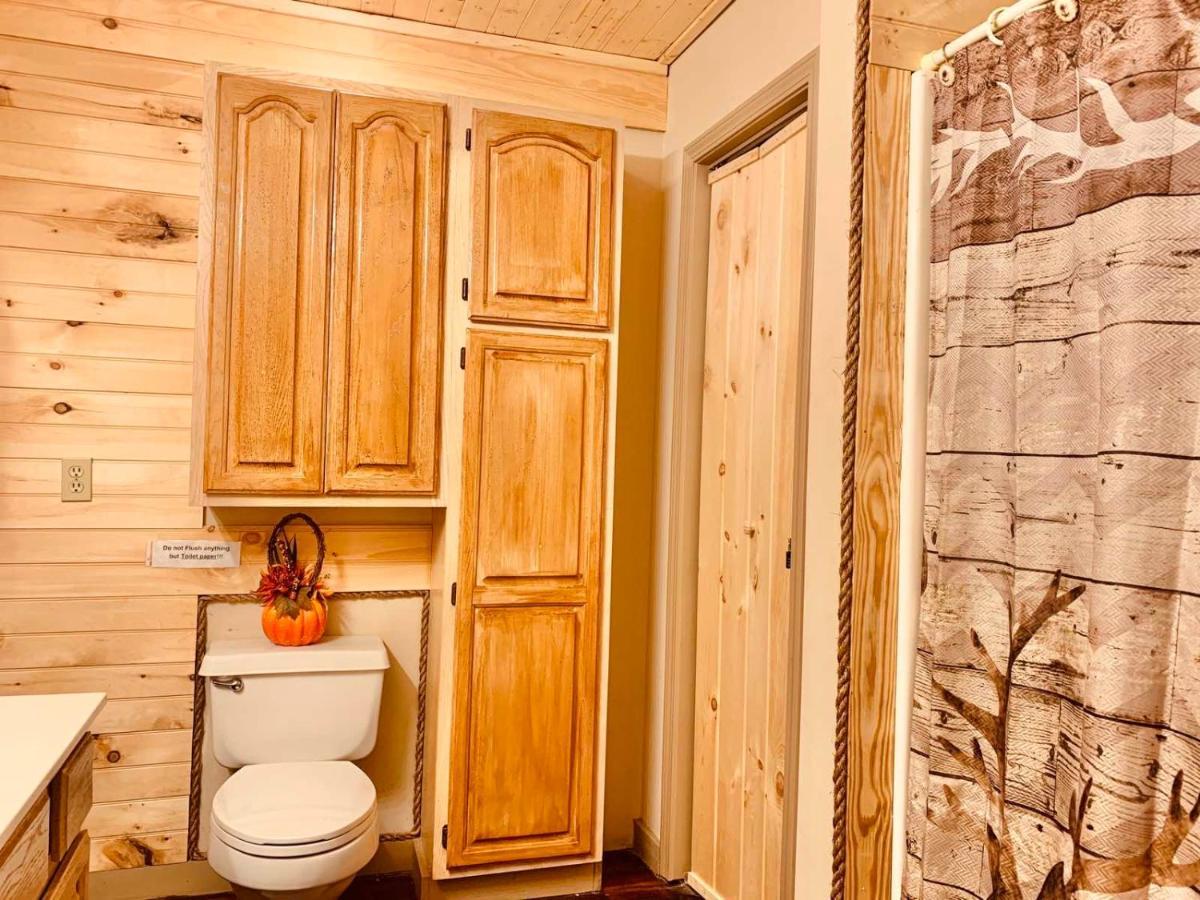 Lazy Bear Cabin Сев'єрвілл Екстер'єр фото